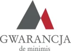 logo deminimis